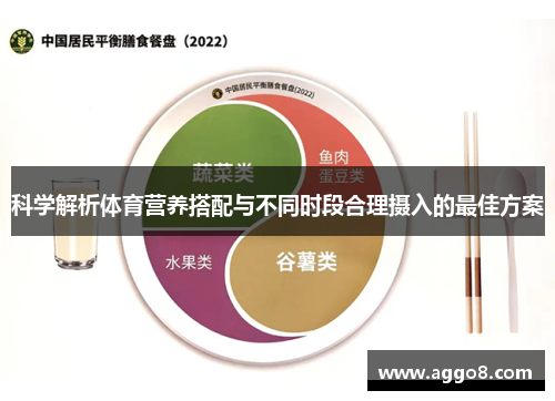 科学解析体育营养搭配与不同时段合理摄入的最佳方案